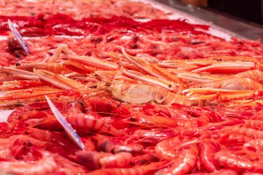Donmuş karides. Tezgahtaki deniz ürünleri. Balık pazarı. Deniz ürünlerine yakın çekim. Karidesli kutu. Süpermarkette karides fotoğrafı. Balık toptan satılıyor. Soyulmuş karides. 