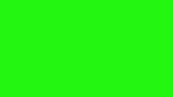Анімація Білої Стріли Намальованої Чорними Контурами Являється Зникає Фоні Зеленого — стокове відео
