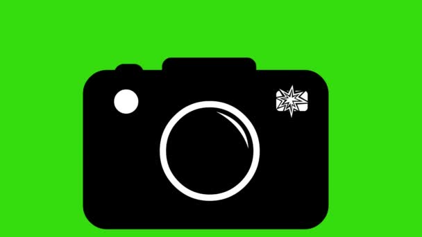图标动画的相机与闪光灯 在一个绿色的彩色键背景 — 图库视频影像