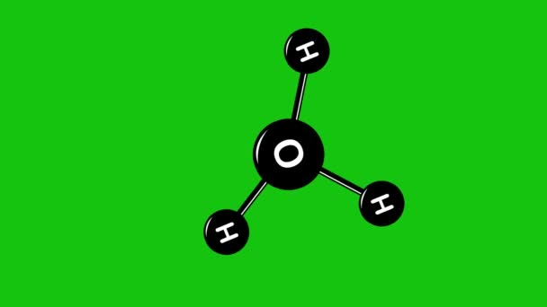Icon Animation Molecule Designed Black White Green Chroma Key Background — Stockvideo