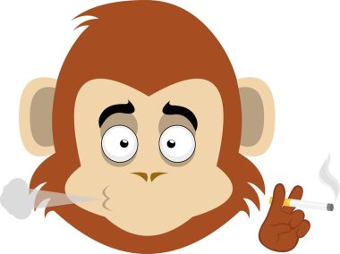 Sigara içen bir maymunun vektör illüstrasyon yüzü