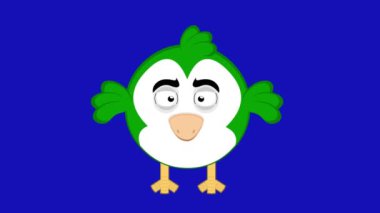 Pajaro çizgi filminin kanatları hareket ettirdiği video animasyonu. Mavi krom anahtar arka planında