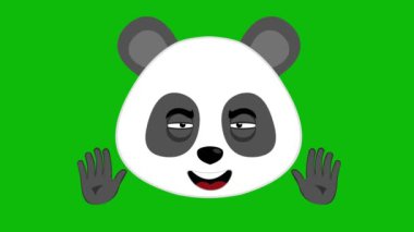 Video animasyonu mutlu çizgi film panda suratlı, elleri sallanan. Yeşil krom anahtar arka planında