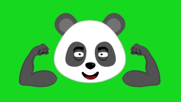 Videoanimation Gesicht Pandabär Karikatur Mit Einem Fröhlichen Gesichtsausdruck Und Zeigt — Stockvideo