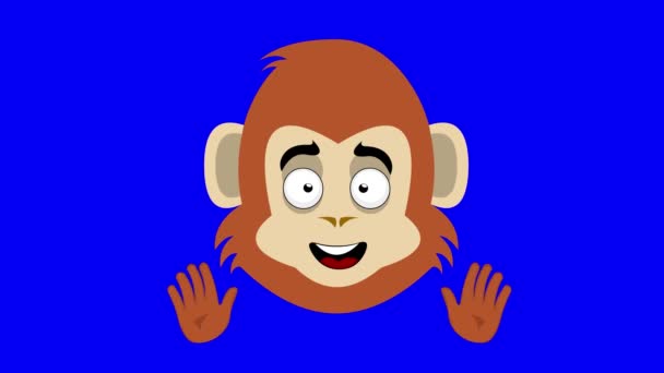 Video Animación Cara Mono Chimpancé Caricatura Gorila Con Una Expresión — Vídeo de stock