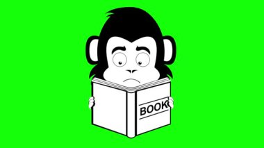 Siyah-beyaz çizilmiş bir kitap nesnesi okuyan maymun, primat ya da şempanze çizgi filmi. Yeşil krom anahtar arka planında