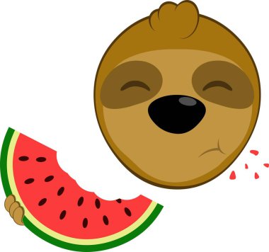 vektör illüstrasyon yüzü ayı tembel hayvan karakteri çizgi filmi, karpuz meyvesi yiyor