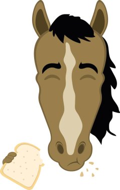 Vektör çizimi karakteri at suratlı, bir dilim ekmek yiyor.