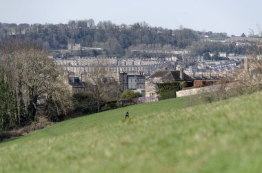 A solitary figure walks through a grassy field overlooking a picturesque town. The town is nestled among rolling hills and features a mix of traditional and modern architecture.  clipart