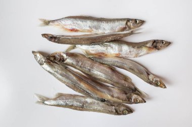 Beyaz arka planda kapelinli balık. Beyaz arkaplanda küçük bir balık.