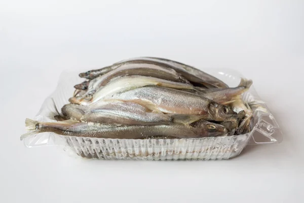 Capelin Fisk Plastbricka Vit Bakgrund Liten Fisk Vitt — Stockfoto