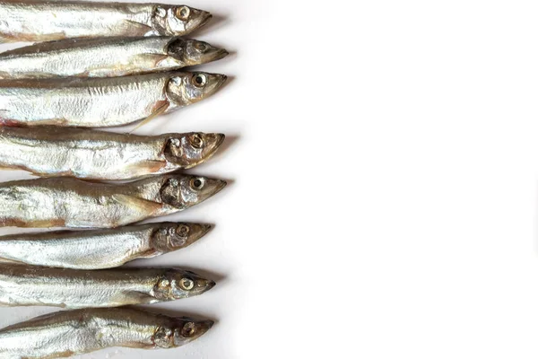 Liten Lodda Fisk Vit Bakgrund Med Kopieringsutrymme Till Höger Ovanifrån — Stockfoto