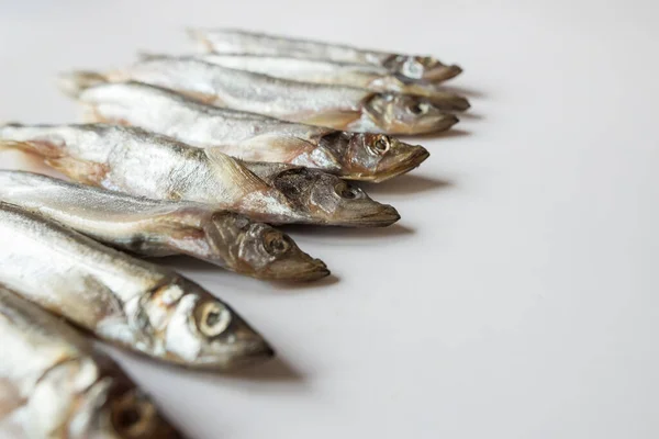 Peixe Capelim Sobre Fundo Branco Pequeno Peixe Fundo Branco — Fotografia de Stock