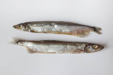 Beyaz arka planda izole edilmiş iki küçük capelin balığı. Üst görüntü fotoğrafı.