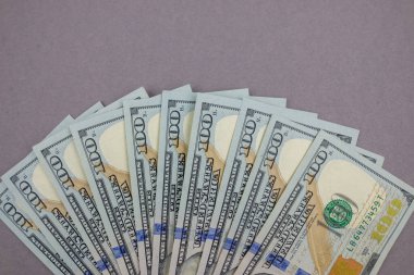 Gri bir arka planda dolar. Mali konsept.