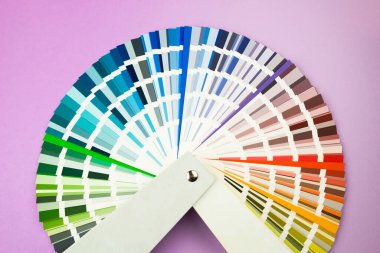 Renk örnekleri kataloğu. Renk Paleti Kılavuzu.