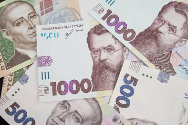 Ukrayna parası. Farklı bir Hryvnia. Mali konsept.