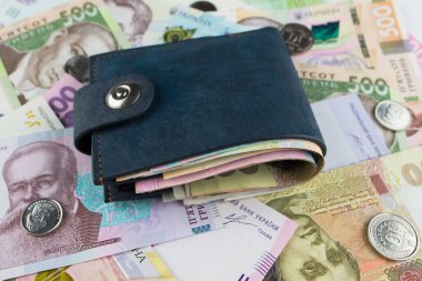 Hryvnia 'lı cüzdan. Ukrayna parası. Mali konsept.
