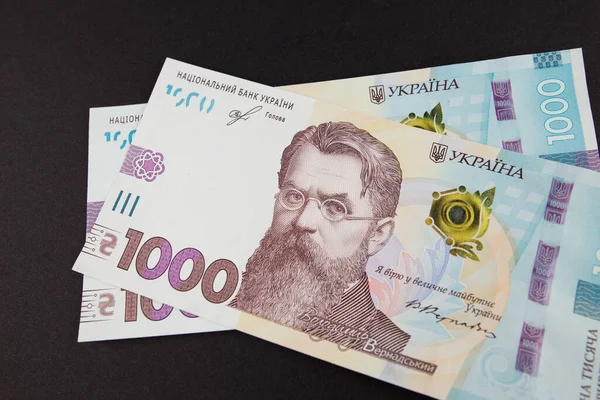 乌克兰货币 Hryvnia 财务概念 — 图库照片