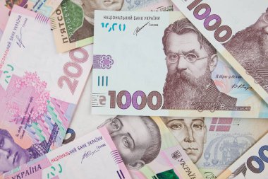 Ukrayna parası. Farklı bir Hryvnia. Mali konsept.