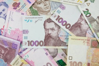 Ukrayna parası. Farklı bir Hryvnia. Mali konsept.