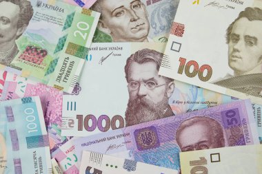 Ukrayna parası. Farklı bir Hryvnia. Mali konsept.