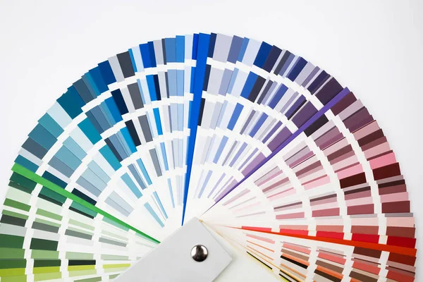 Beyaz arka planda çiçek örnekleri kataloğu. Renk Paleti Kılavuzu.