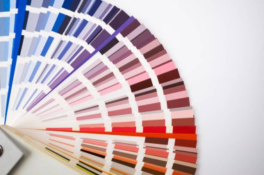 Beyaz arka planda çiçek örnekleri kataloğu. Renk Paleti Kılavuzu.