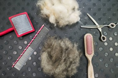 Köpek bakım aksesuarları. Reklamcılık konsepti köpek bakımı ve bakımı. Hayvan bakımı temasının geçmişi. Makas, tarak, yün.