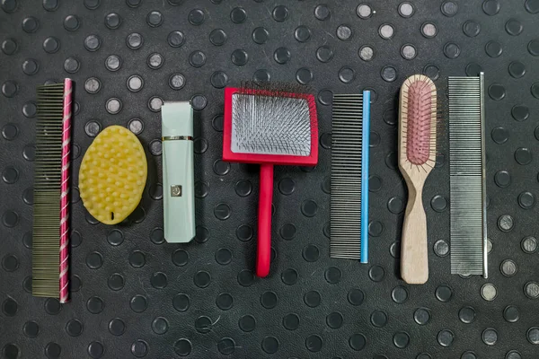 Dog and cat grooming tools.