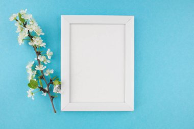 Beyaz ahşap fotoğraf çerçevesinin ve pastel mavi arka planda boş arkaplan çiçekli dalın en üstteki fotoğrafı. Kapak, pankart, metin için yer