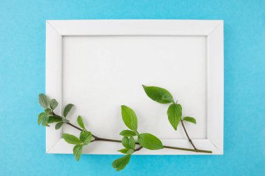 Beyaz ahşap fotoğraf çerçevesinin ve pastel mavi arka planda boş arkaplan çiçekli dalın en üstteki fotoğrafı. Kapak, pankart, metin için yer
