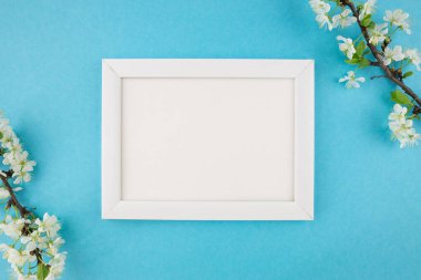 Beyaz ahşap fotoğraf çerçevesinin ve pastel mavi arka planda boş arkaplan çiçekli dalın en üstteki fotoğrafı. Kapak, pankart, metin için yer