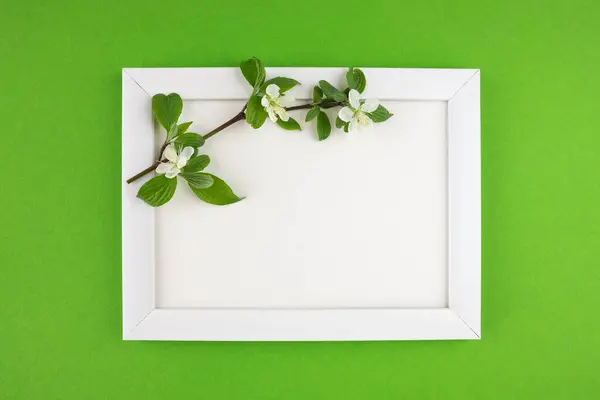 Cornice Legno Bianco Ramo Con Foglie Sfondo Verde Isolato Con — Foto Stock