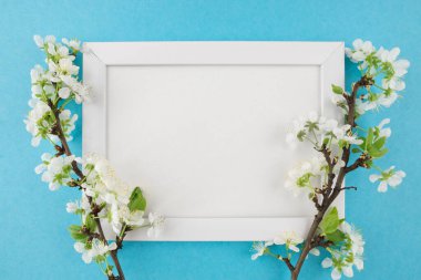 Beyaz ahşap fotoğraf çerçevesinin ve pastel mavi arka planda boş arkaplan çiçekli dalın en üstteki fotoğrafı. Kapak, pankart, metin için yer