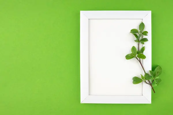 White Wooden Photo Frame Branch Leaves Isolated Green Background Copy — Stock Photo, Image