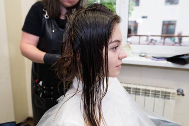 Kuaför saç boyama yapıyor. Berber malzemeleri, saç rengine krem sürüyor. Kadınların saçlarına boya sürüyorum. Saç bakımı