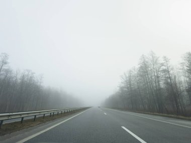 Yoğun bir siste, bomboş bir asfalt yolu (karayolu). Yaya geçidi, kavşak, sokak lambaları. Tehlikeli sürüş, yürüyüş, bisiklet, trafik kanunları