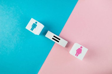 Cinsiyet eşitliği kavramı. Renkli mavi-pembe arka planda dişi ve erkek sembolleri olan tahta küpleri..