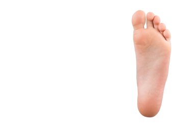 Ayak beyaz arka planda izole edilmiş. Ayağı beyazın üzerinde. Boşluğu kopyala