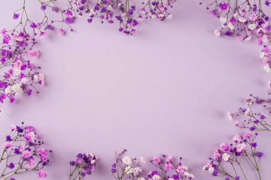 Mor arkaplandaki mor çiçeklerin yaratıcı düzeni. Fotokopi alanı olan bir daire. Çiçek düzenlemesi. Tebrik kartı, düz konum, üst görünüm.