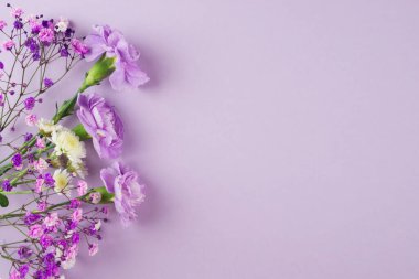 Mor arkaplandaki mor çiçeklerin yaratıcı düzeni. Fotokopi alanı olan bir daire. Çiçek düzenlemesi. Tebrik kartı, düz konum, üst görünüm.