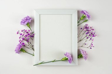 Beyaz fotoğraf çerçevesinin yaratıcı bir kopyası ve beyaz arkaplanda mor çiçek kompozisyonu. Fotokopi alanı olan bir daire. Tebrik kartı, afiş, tasarım. Anneler Günü