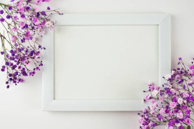Beyaz fotoğraf çerçevesinin yaratıcı bir kopyası ve beyaz arkaplanda mor çiçek kompozisyonu. Fotokopi alanı olan bir daire. Tebrik kartı, afiş, tasarım. Anneler Günü