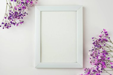 Beyaz fotoğraf çerçevesinin yaratıcı bir kopyası ve beyaz arkaplanda mor çiçek kompozisyonu. Fotokopi alanı olan bir daire. Tebrik kartı, afiş, tasarım. Anneler Günü
