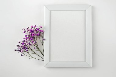 Beyaz fotoğraf çerçevesinin yaratıcı bir kopyası ve beyaz arkaplanda mor çiçek kompozisyonu. Fotokopi alanı olan bir daire. Tebrik kartı, afiş, tasarım. Anneler Günü
