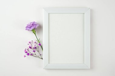 Beyaz fotoğraf çerçevesinin yaratıcı bir kopyası ve beyaz arkaplanda mor çiçek kompozisyonu. Fotokopi alanı olan bir daire. Tebrik kartı, afiş, tasarım. Anneler Günü