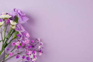 Mor arkaplandaki mor çiçeklerin yaratıcı düzeni. Fotokopi alanı olan bir daire. Çiçek düzenlemesi. Tebrik kartı, düz konum, üst görünüm.