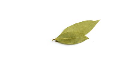 Kuru körfez yaprakları beyaz arka planda izole edilmiş. Boşluğu kopyala