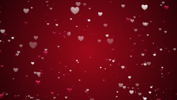 Dia Dos Namorados Branco Corações Vermelhos Animação Saudação — Vídeo de Stock